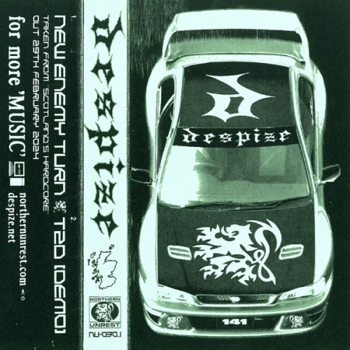 Despize : New Enemy Turn - T2D